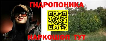 стаф Бузулук