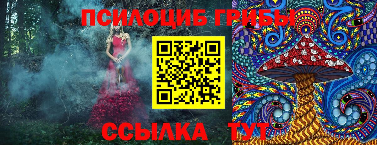 Галлюциногенные грибы MAGIC MUSHROOMS Ленинск-Кузнецкий